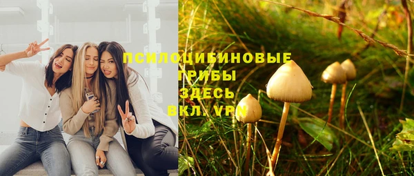 ешки Аркадак