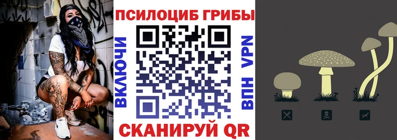 Псилоцибиновые грибы Psilocybine cubensis  Усолье 